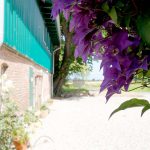 Urlaub in Nordballig - Ferienwohnung Strandhafer