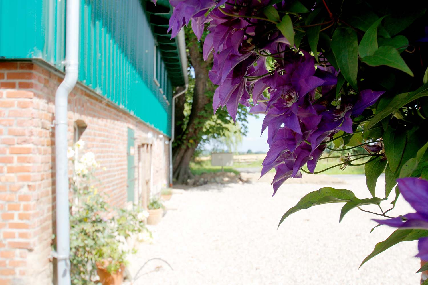 Urlaub in Nordballig - Ferienwohnung Strandhafer